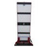 Plinko Carnival Game